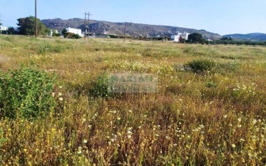 Plot in Kastraki,Naxos 5.000sqm – Distance from the beach 250m